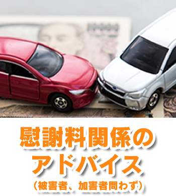 慰謝料関係のアドバイス（被害者、加害者問わず）